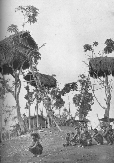 Dobos, Tree Houses for Unmarried Women in Melanesia, 1902 by W. Lindt