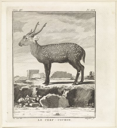 Deer by W. Tringham