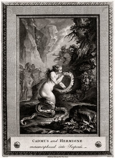 Cadmus and Hermione, Metamorphosed into Serpents by W. Walker
