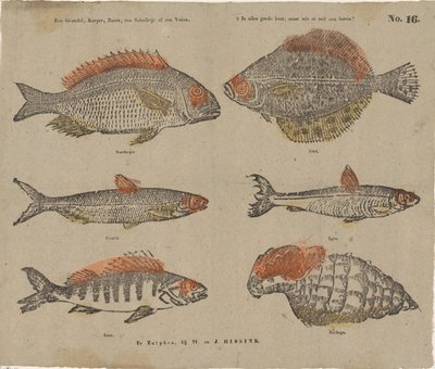 A Grundel, Carp, Perch, a Plaice or a Voren, It
