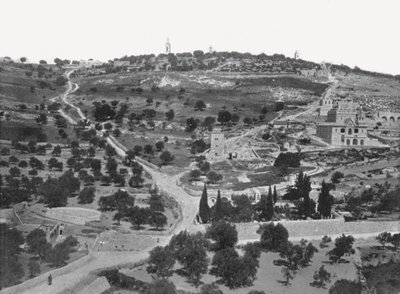 Mount of Olives, Jerusalem, Palestine by W and S Ltd