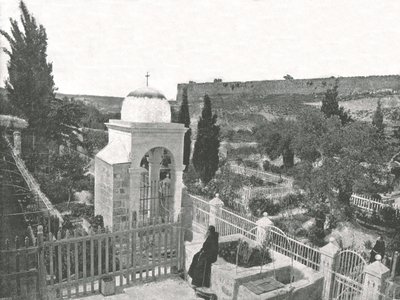 The Garden of Gethsemane, Jerusalem, Palestine, 1895 by W and S Ltd