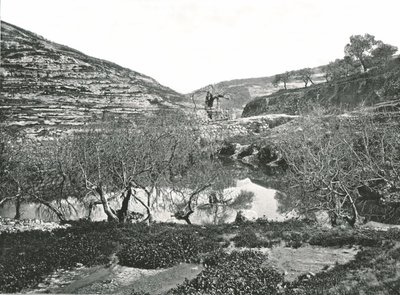 The Pool of Siloam, Jerusalem, Palestine by W and S Ltd