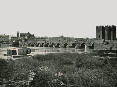 The Roman Bridge, Cordoba, Spain by W and S Ltd