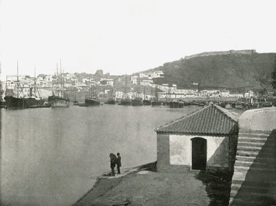 The City and Harbour of Malaga, Spain by W and S Ltd