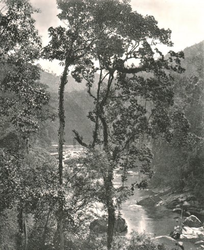 View of the Kelani River, Kurunegala, Ceylon by W and S Ltd