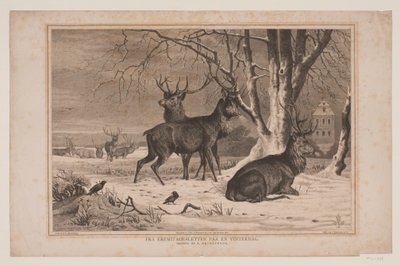 From the Hermitage Plain on a Winter Day by Waldemar Bøhme