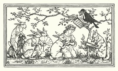 The Rabbit