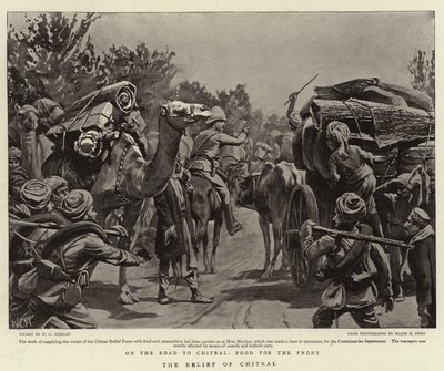 The Relief of Chitral by Walter Charles Horsley