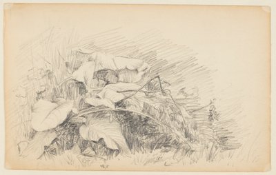 Study of Grass and Plants by Walter Clark