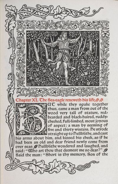 Chapter XI. The sea eagle renews his life by Walter Crane