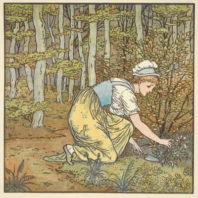 Colour illustration for 