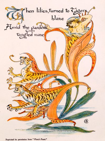 Tiger Lilies, illustration from 