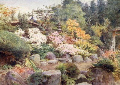 A Rock Garden at Nikko, Cosmos and Maple by Walter Frederick Roofe Tyndale
