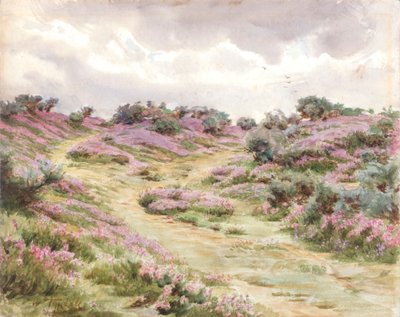 Bell Heather on Setley Plain by Walter Frederick Roofe Tyndale
