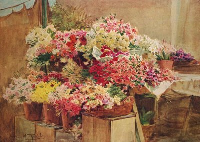 Flower Stall in Mentone Market, c1910 by Walter Frederick Roofe Tyndale
