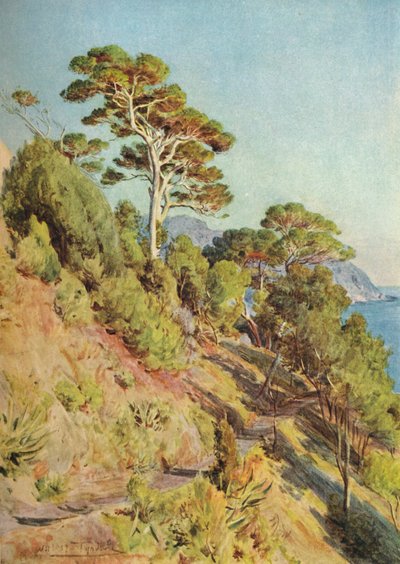 In the Villa Piuma, Sestri Levante by Walter Frederick Roofe Tyndale