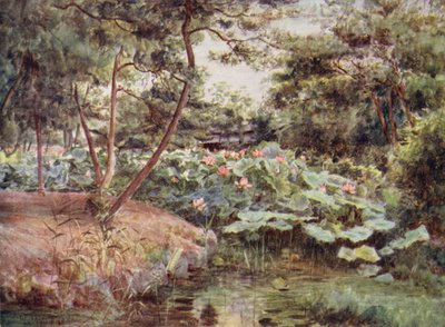 Pine and Pink Lotuses at Kofu by Walter Frederick Roofe Tyndale
