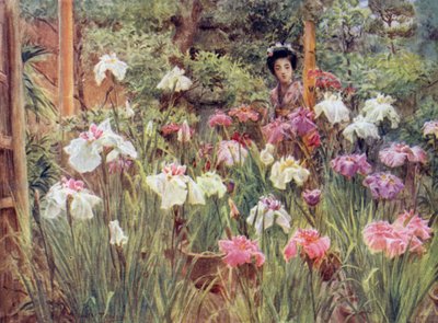 Specimen Irises by Walter Frederick Roofe Tyndale