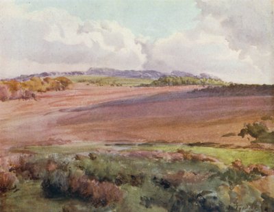 The New Forest: Across Malwood Walk from the Road to Fritham by Walter Frederick Roofe Tyndale