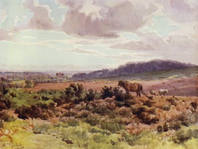 The New Forest: View from Picket Post on Ringwood Road by Walter Frederick Roofe Tyndale