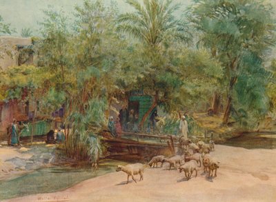 The Village of Marg by Walter Frederick Roofe Tyndale