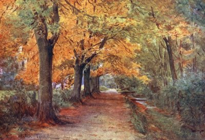 Wessex: Bockhampton Bank, near Dorchester by Walter Frederick Roofe Tyndale