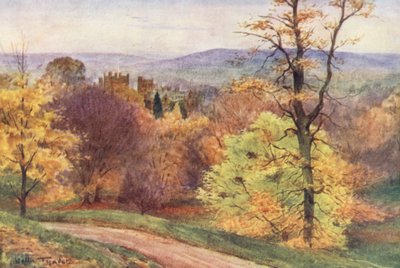 Melbury Park by Walter Frederick Roofe Tyndale