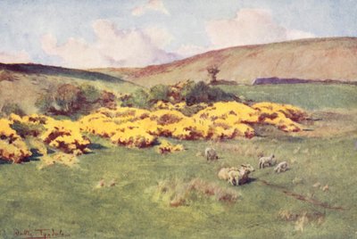 Wessex: Summer in Wessex by Walter Frederick Roofe Tyndale