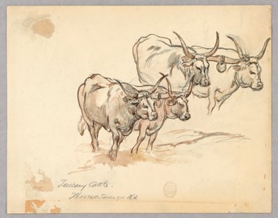 Study of Cattle in Tuscany by Walter Shirlaw