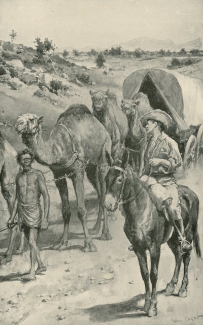 A Camel-Caravan, Western Australia by Walter Stanley Paget