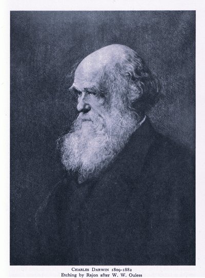 Etching of Charles Darwin, Nature in Britain published by Collins by Walter William (after) Ouless