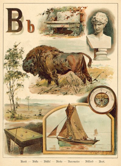 Letter B by Walter Zweigle