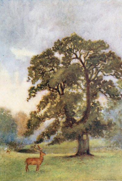 The Abbot