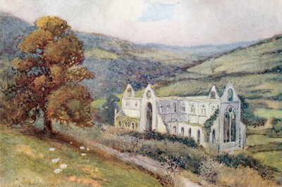 Tintern Abbey from the South-East by Warwick (after) Goble