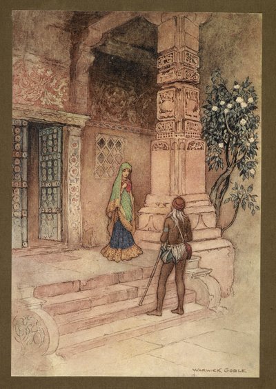 Plate 1: 