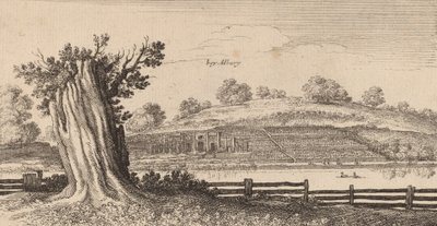Albury, 1645 by Wenceslaus Hollar