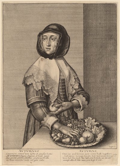 Autumn by Wenceslaus Hollar