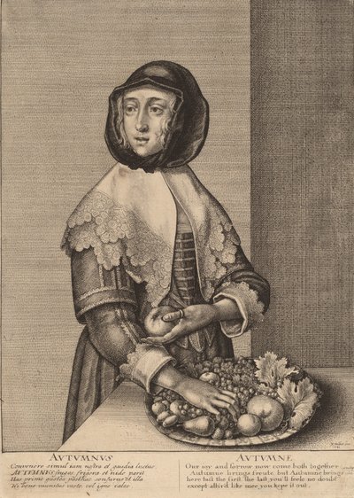 Autumn by Wenceslaus Hollar
