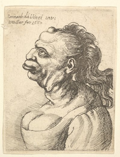 Bust of a Woman Wearing Low-Cut Dress by Wenceslaus Hollar