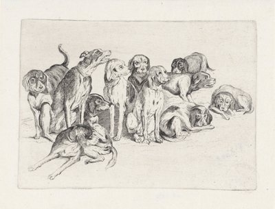 Eleven Hunting Dogs by Wenceslaus Hollar