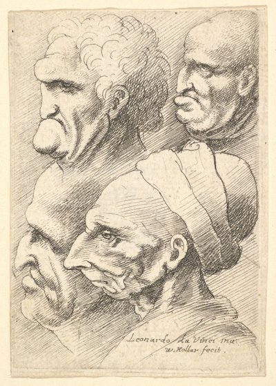 Four Grotesque Heads in Profile to Left by Wenceslaus Hollar