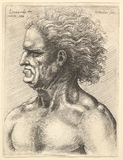 Head of a muscular old man in profile to left with flowing hair, 1625-77 by Wenceslaus Hollar