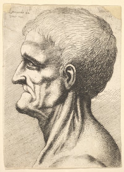 Head of a Toothless Man with Bare, Sinewy Neck in Profile to Left by Wenceslaus Hollar