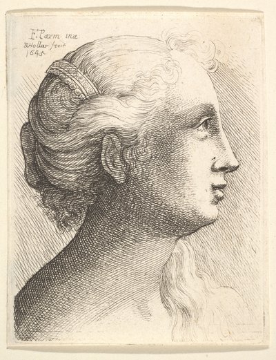 Head of a Young Woman in Profile to Right, 1645 by Wenceslaus Hollar