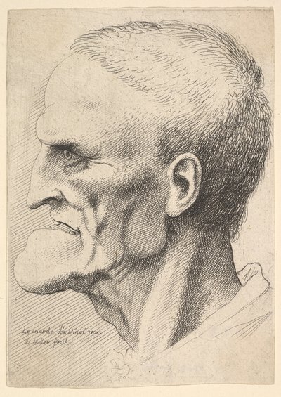 Head of an old man with a pronounced chin, short cropped hair and gaping mouth showing by Wenceslaus Hollar
