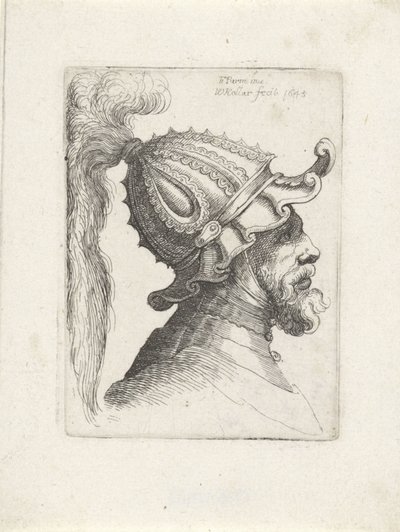 Head of a Man with Plumed Helmet by Wenceslaus Hollar