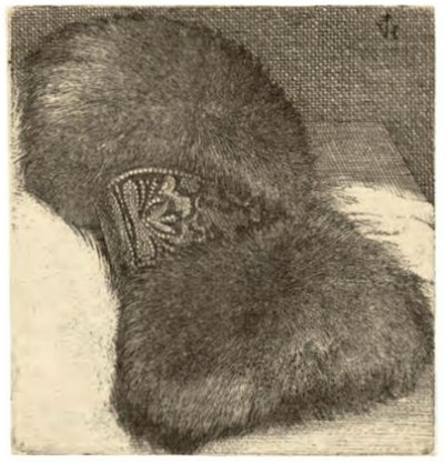 Muff with a Brocade Band by Wenceslaus Hollar