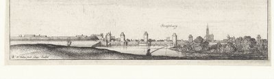 River Landscape with View of Strasbourg by Wenceslaus Hollar