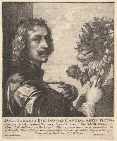 Sir Anthony van Dyck with a Sunflower, 1644 by Wenceslaus Hollar
